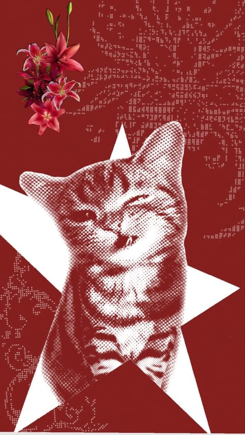 Vintage Japanese Style Wink Cat & Botanical Artwork
