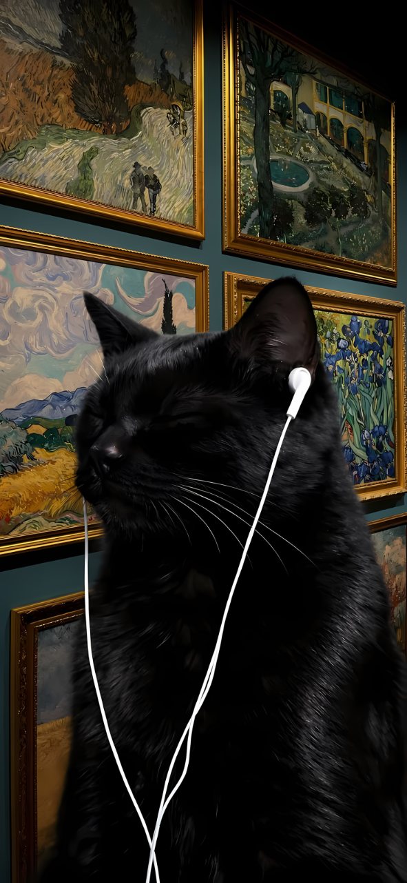 A black cat wearing white earphones sits in front of framed impressionist paintings in a dim art gallery.
