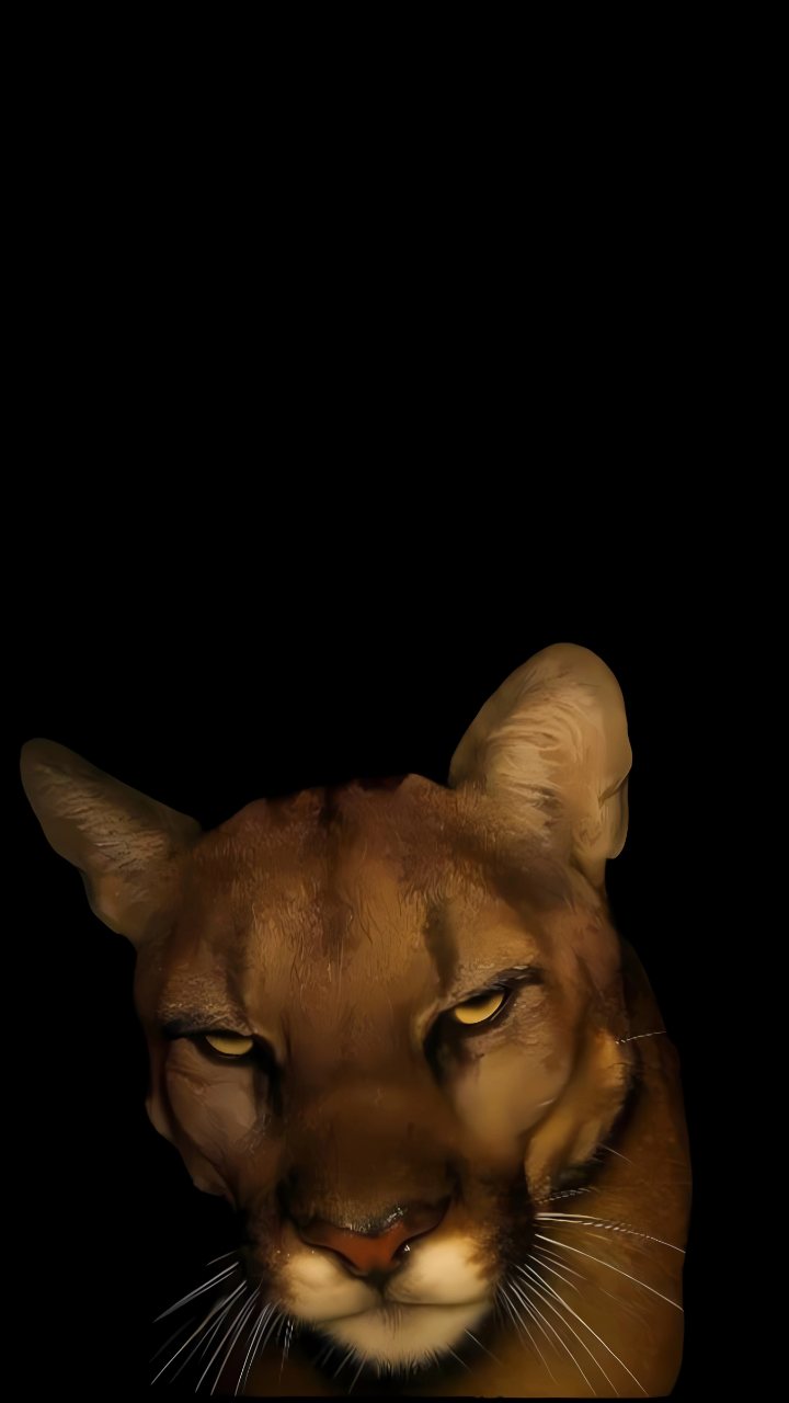 Cougar Puma Wild Cat