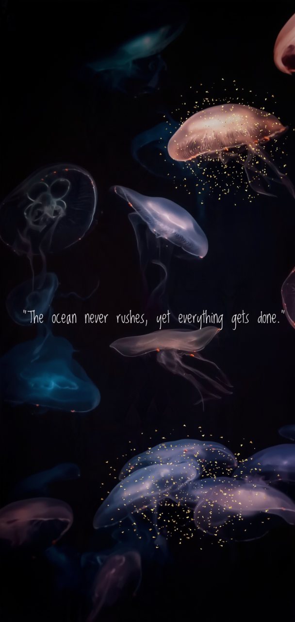 Glowing pink, blue, and purple jellyfish float against a dark ocean background with the quote “The ocean never rushes, yet everything gets done.”