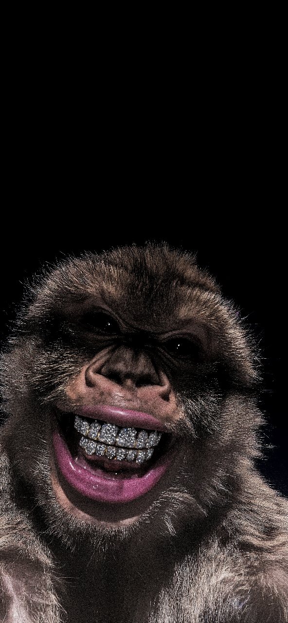 Close-up portrait of a smiling monkey showing a sparkling diamond-style grill against a black background.