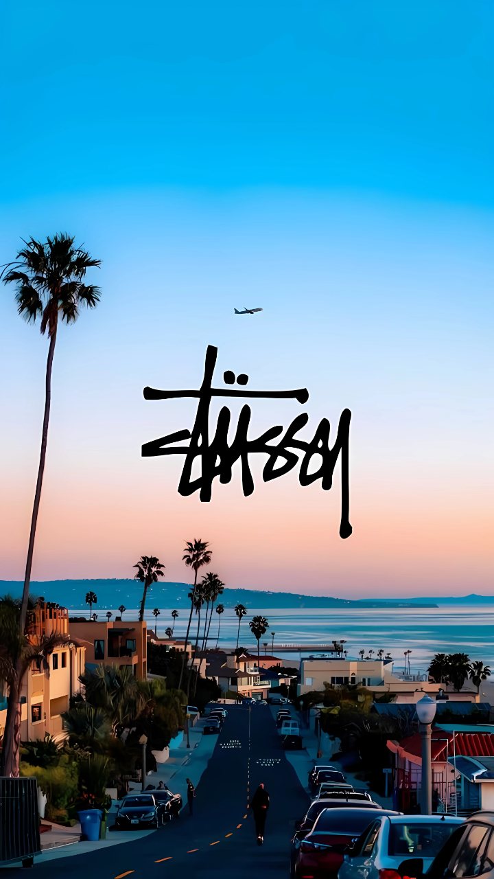 Stussy Logo Palm Trees Sunset