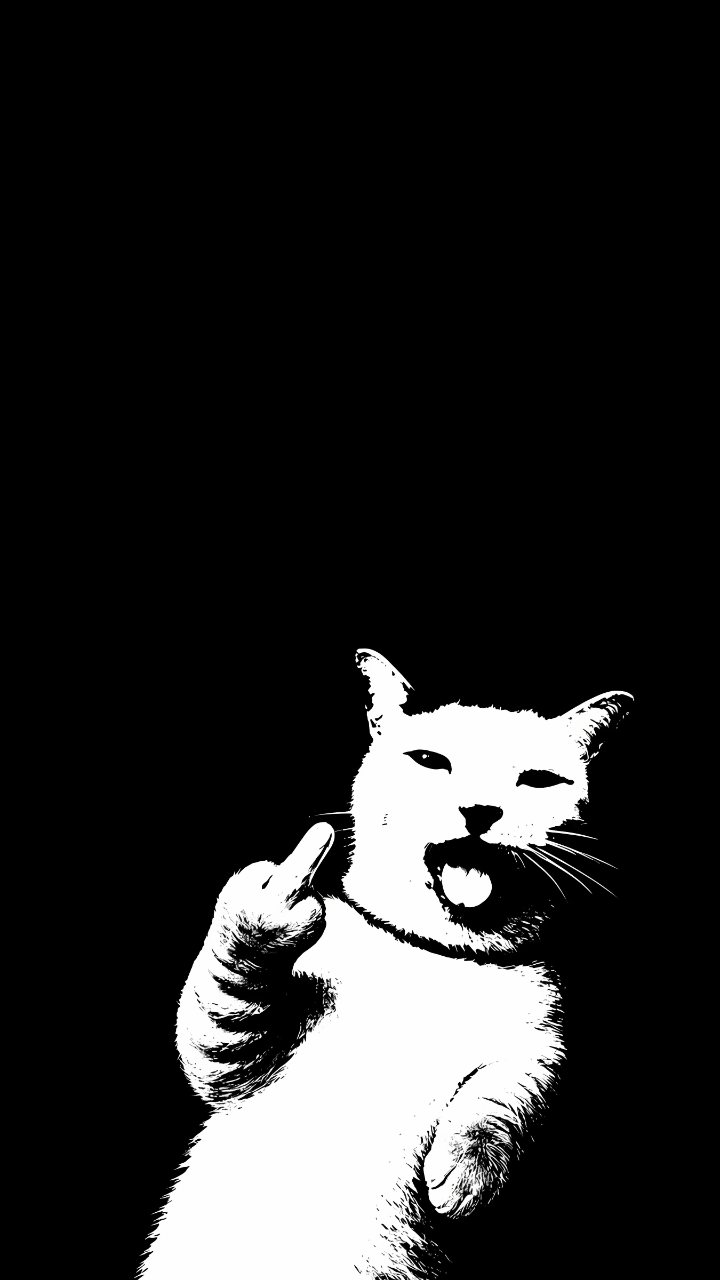 High-contrast white cat illustration on a black background, winking and raising one paw in a defiant gesture.